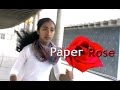 Anti-Bullying Film - Paper Rose - by Olivia Mazzucato
