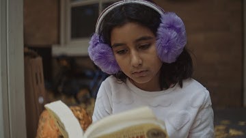 Fall Colours with the Nikon Z7 Shot with N-LOG and Atomos Ninja V