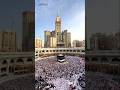 MashaAllah makkah live madina live ❤️#islamicstatus #shorts #madina