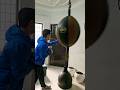Cameraman Hit #boxing #funny #boxingdrills #punch #shorts #cameraman #boxinggym