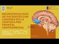 Neuropsicología de pacientes con lesiones en la Corteza Pre-Frontal Ventromedial