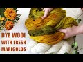 Dye wool with Marigold Flowers | Last Minute Laura