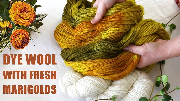 Natural Dyes - Marigold Petals Dried – The Yarn Tree - fiber, yarn and  natural dyes