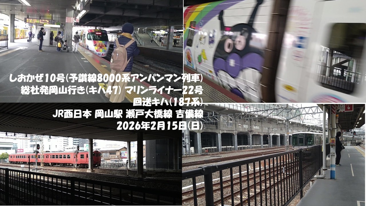 しおかぜ10号(予讃線8000系アンパンマン列車) 総社発岡山行き(キハ47) マリンライナー22号 回送(キハ187系) JR西日本 岡山駅 瀬戸大橋線 吉備線 2026年2月15日(日)