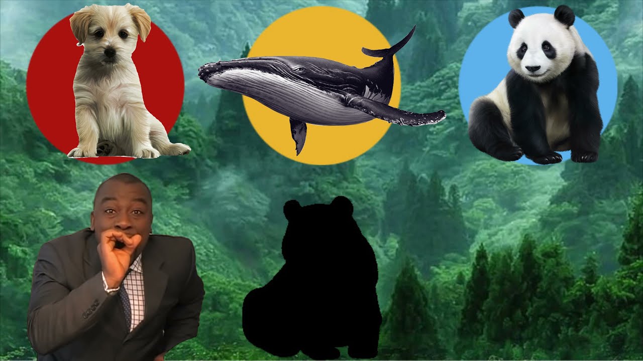 Cute Animal Puzzle (Dog, Whale, Panda) #2
