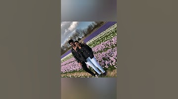 Thumbnail of #Tulips🌷hyacinth🌸🌼 #Netherlands #Nature #Holland