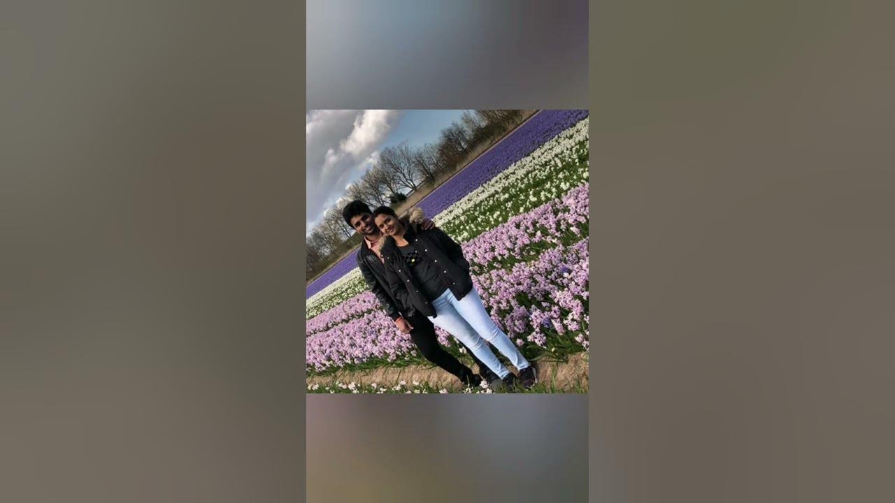 #Tulips🌷hyacinth🌸🌼 #Netherlands #Nature #Holland