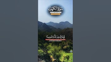 تلاوة خاشعة بصوت جميل ومؤثر يريح الأعصاب #elmulquranعلم #قران_كريم #تلاوة #المصحف #اكسبلور #trend