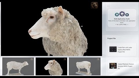 Free Sheep 3D Model with Texture
