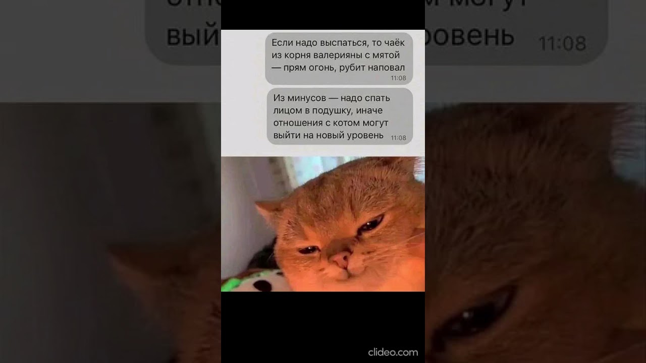 Валерьянка 