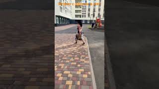 Играю с другом в мяч