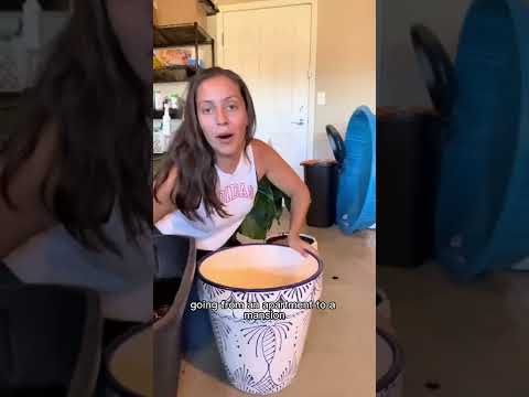 Video: Repotting Peace Lily Houseplants: Does My Peace Lily Need A New Pot