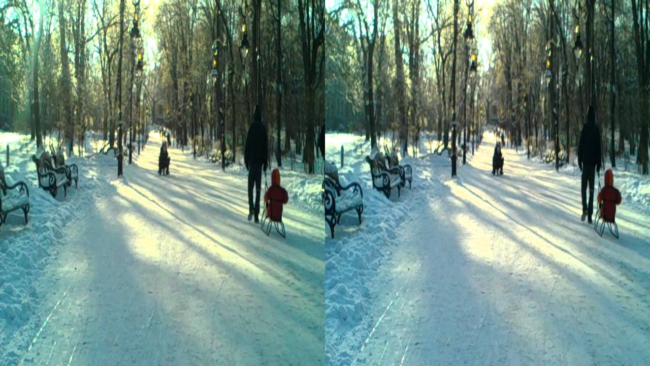 видео камерой LG P920 Optimus 3D