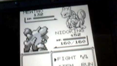 I found level 132 mewtwo in the wild in pokemon red