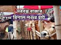 Sylhet darbast bazar cow hut  bangladesh cow market     