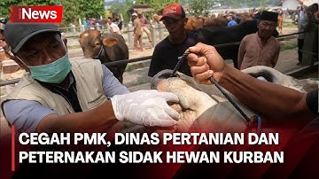 Jelang Hari Raya IdulAdha, Dinas Pertanian dan Peternakan Sidak Hewan Kurban