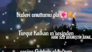 Nurşani Nerde Kaldı Turgut Kalkan Cover