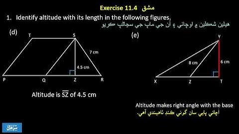 Area of Parallelogram Exercise 11.4 Unit 11, maths class 6 Sindh text