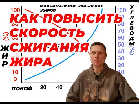 Как повысить скорость сжигания жира. Что влияет.