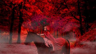 1 HOUR of AMAZING HORSES From Around the World | Relax Music | Meditation | Stress Relief | Calm