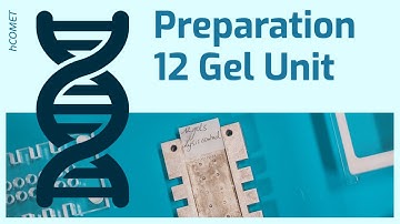 Preparation: Assembly 12-gel unit // Measuring DNA damage using the comet assay