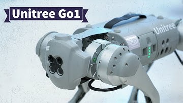 We Got a Robot Dog!! (Unitree Go 1 Robot Dog)
