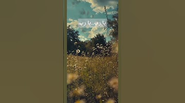 القرآن الكريم/ تلاوة خاشعة/ترتيل #quran #المصحف #القرآن_الكريم #راحة_نفسية