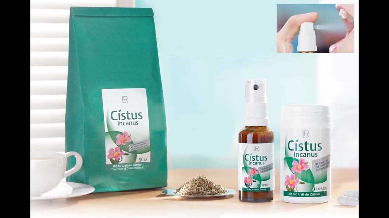 Природные иммуномодуляторы | Владимир Дадали - Ладанник и линейка ...