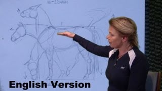 Easy Horse body drawing for beginners