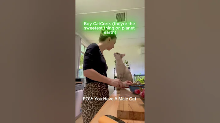 Watch the video about Boy cats 🐱♥️ #shorts #cats