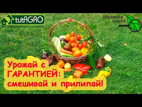 Чтобы 2 раза не бегать! Урожай с гарантией. Как смешивать и чем прилепить препараты к листьям.