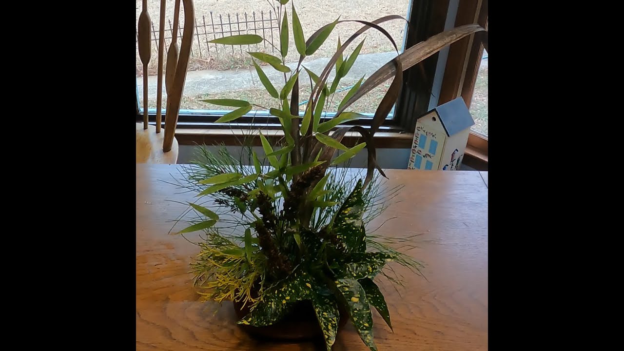 Winter Arrangement from the Yard