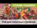 Голова садовая - Рай для томатных гурманов