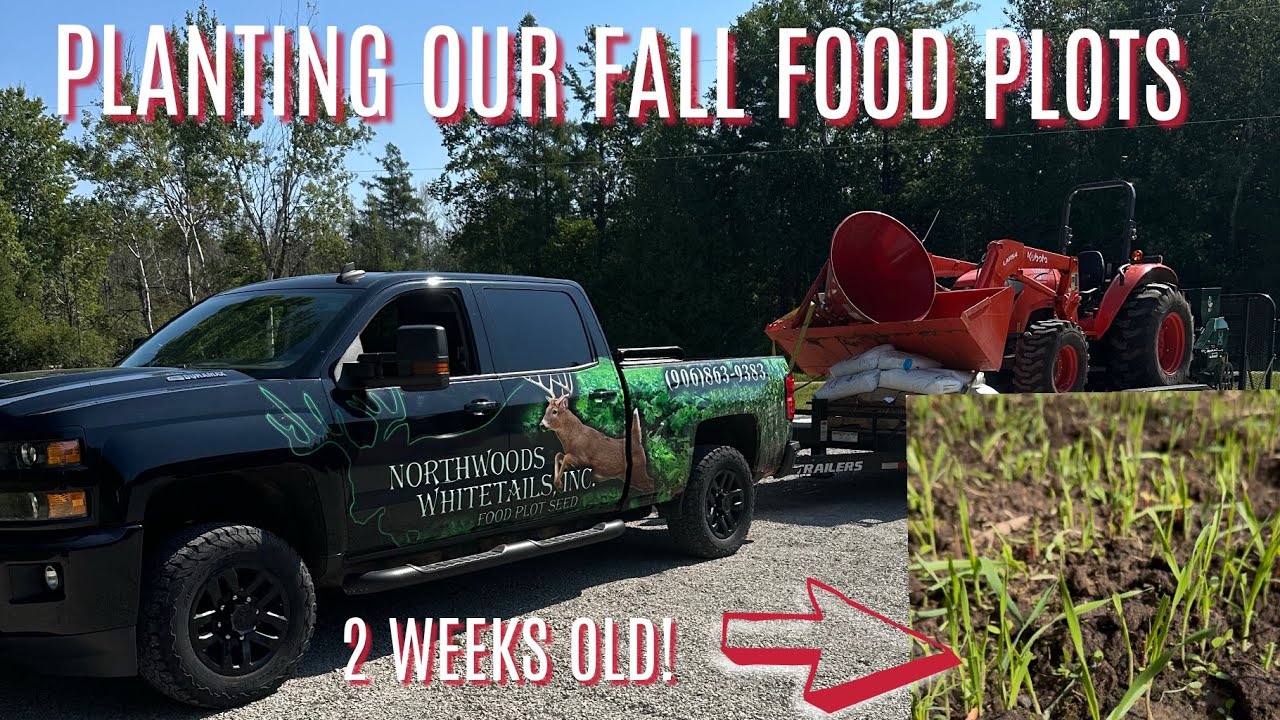 PLANTING FALL FOOD PLOTS