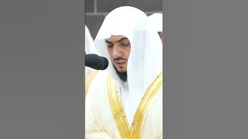تلاوة مرئية | الشيخ الوليد الشمسان