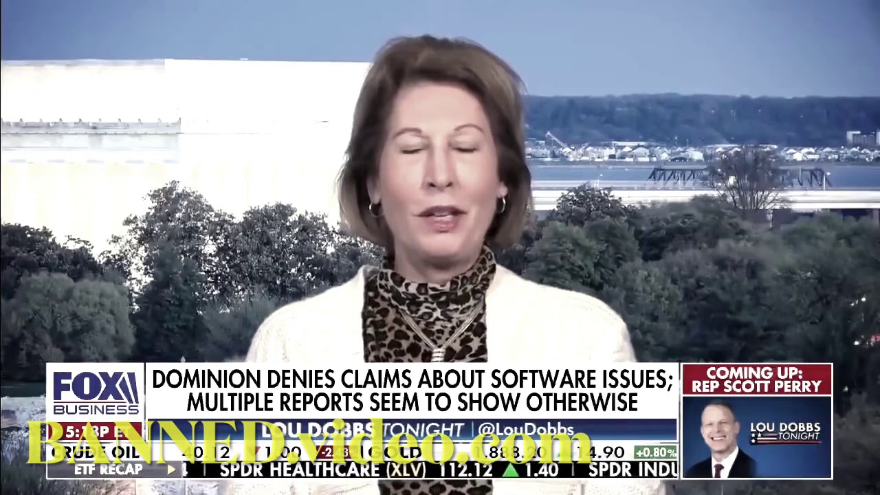 THE ELECTION FRAUD EXPLAINED IN 4 minute watch before YouTube takes it down!!!!!!