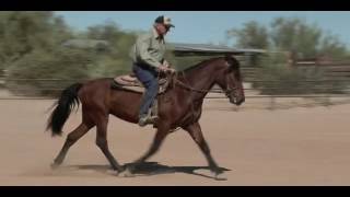 Maximus V Offered for Sale