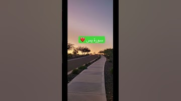 #اكسبلور #القرآن_الكريم #راحة_نفسية سورة يس❤️ #ماهرالمعيقلي