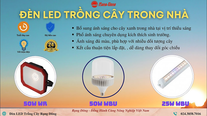 Cây quang hợp mạnh nhất ở vùng ánh sáng nào năm 2024