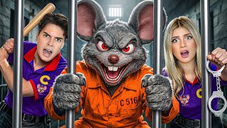 Atrapamos Al Ratón De Chuck E Cheese