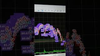 #forex #bots #algotrade #gold #tradingbot #shortsfeed