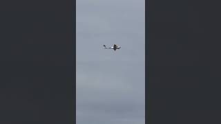 Pilot Guides Young Michigan Pilot Through Emergency Landing Over Radio