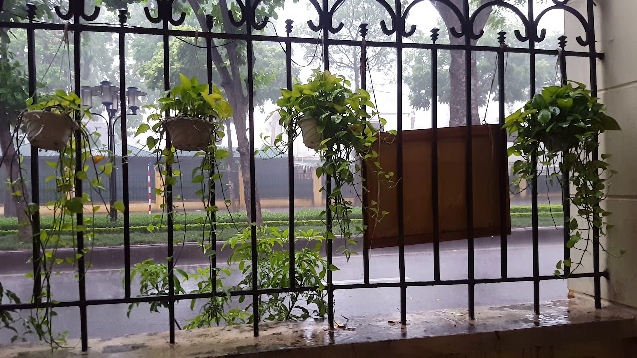 tiny cafe nguyễn tri phương Update New 14:18 T3 17/07/2018