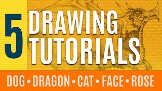 5 Easy Drawing Ideas - Learn How to Draw A Rose, Dog, Cat, Dragon, Face