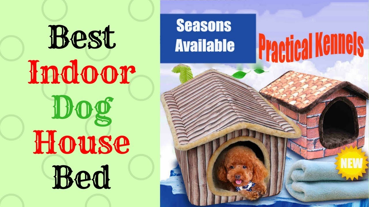 Best Indoor Dog House Bed 2019