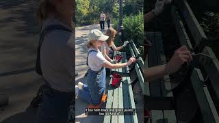 How to Paint a Central Park Bench! #shorts