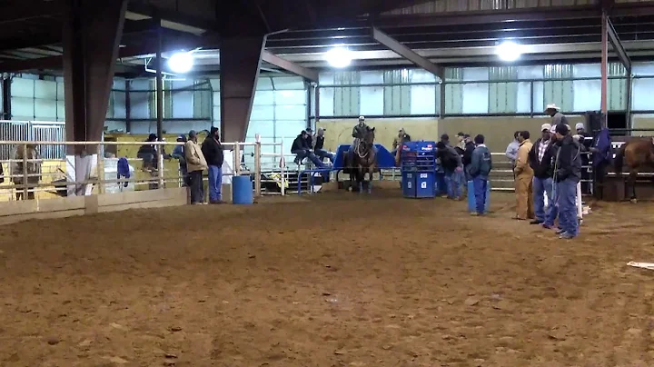 Ty Nowlin calfroping(2)