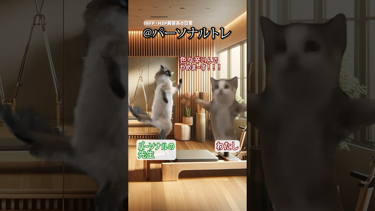 INFP、HSP美容系の日常