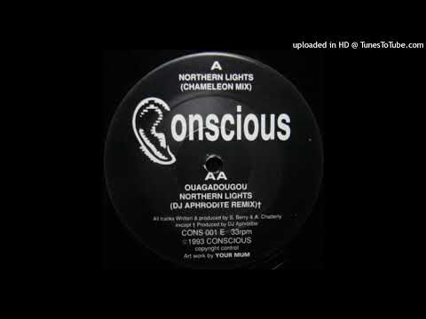 Conscious — Conscious - Northern Lights (Chameleon Mix)