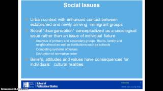 The MicroInteractionist Perspective Profile